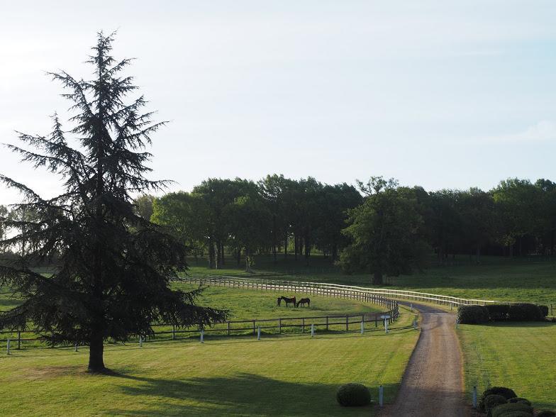 Hotel Haras De La Potardiere Crosmieres Exterior photo